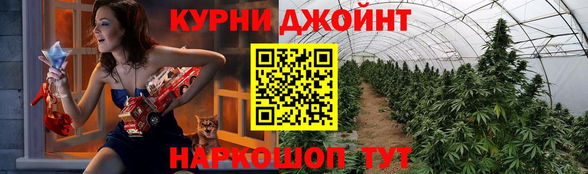 МАРИХУАНА индика  Бошки Шишки гибрид  Вход с VPN  Кинель  Канабис семена 